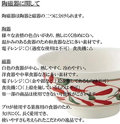 צלחת טיגון לבנה בגודל 9.8 אינץ '[9.8 על 0.9 אינץ'] [מגש] | מסעדה מטבח יפני ריוקאן מסעדת מלון